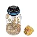 Newaner Digitale Spardose mit Zähler 1.8L, Elektronisch Sparschwein mit LCD Anzeige, Euro Geld Sparen Box Große, Transparente Münzzähler Automatisch, Coin Bank, für Erwachsene und Kindergeschenk Wein und günstig Kaufen-Newaner Digitale Spardose mit Zähler 1.8L, Elektronisch Sparschwein mit LCD Anzeige, Euro Geld Sparen Box Große, Transparente Münzzähler Automatisch, Coin Bank, für Erwachsene und Kindergeschenk