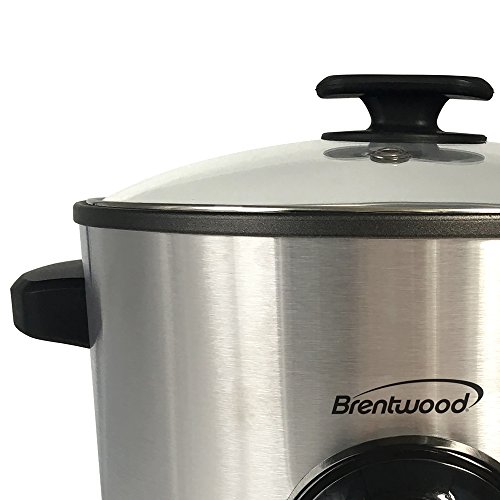 Brentwood Electric Deep Fryer & Multi Cooker, 5.2 Quart, Stainless Steel #TOP1