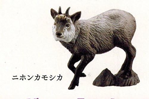 日本の動物コレクション8 日本アルプス編 【1着でも送料無料