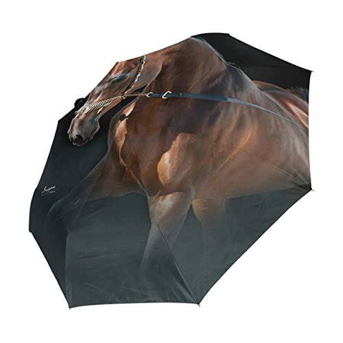 Parapluie pliant automatique noir coupe-vent femme homme enfant