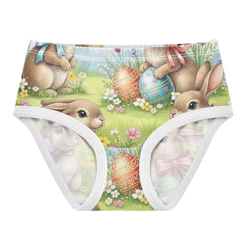 Toddler Girls Underwear 2t Cotton Panties Little Girl Florals Briefs Kids Undies Cute Bunnies Colorful Easter