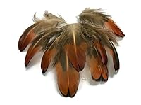 Algopix Similar Product 17 - 50 Pieces  2530 Natural Golden