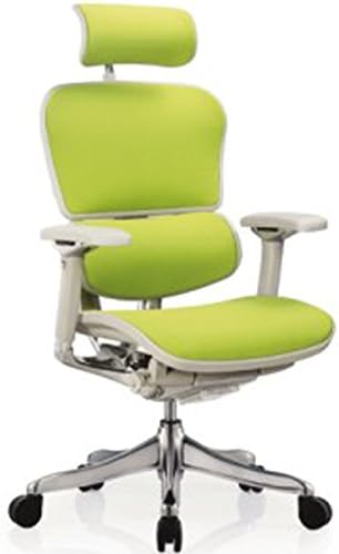 Ergohuman Executive Chairs (with Grey Frame.Green Fabric)