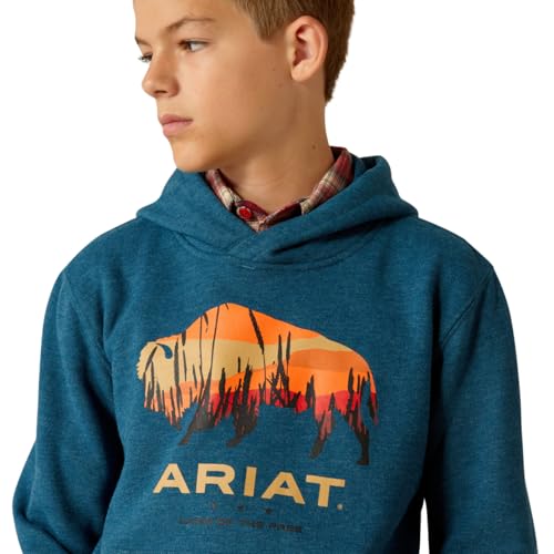 ARIAT Boys' Bison Plains Hoodie4