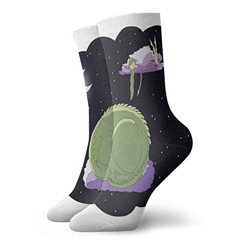Fashion Compression Socks,Fantasy Night Sky With A Sleeping Girl And A Dragon On The Clouds Sweet Dreams,Performance Polyester Cushioned Athletic Crew Socks for Running,Athletic, -12 inch