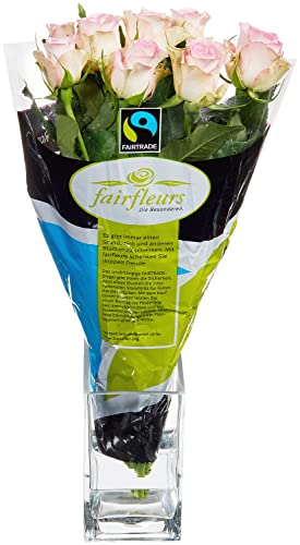 Fairfleurs Rosen, Rosa, 8 Stiele