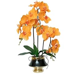 3p- Orange- Black Goldvase