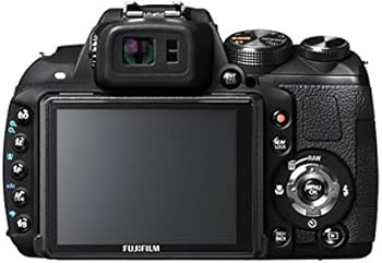 Студент ит стилін ұрып тастады (фото)