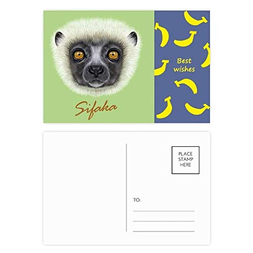 Jeu de cartes postales sifaka blanc 20 pièces au format 5,7x3,8 pouces