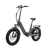 ttgo Klapprad E Bike, All-Terrain E-Bike 250W 70NM Motor 48V 18Ah Akku, 20 * 4.0 Reifen, 25km/h 7-Gang bis 140km, Hydraulische Bremsen &LCD Display, F6 PRO (Titangrau)