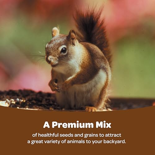 Kaytee Ultimate Backyard Wildlife Food for Wild Squirrels, Rabbits, Chipmunks, and More, 8 Pounds - image 2