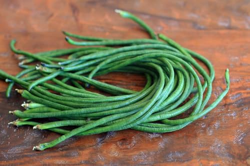TomorrowSeeds - Yu Long Yard Long Bean Seeds - 30+ Count - for 2025 Planting Early Maturing Heirloom Pole Chinese Vegetable Vining Green Asian Cowpea Edamame Beans Grow Your Own Home Farm Patio