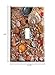 Seashell Beach Switchplate - Switch Plate Cover