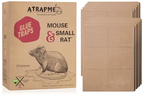 ATRAPME Lot de 10 pièges à glu pour Rats et Souris, Grande Taille 22 x 34 cm, Colle résistante et sans Poison, Efficace pour nuisibles domestiques