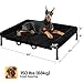 Veehoo Hundeliege Outdoor XXL Waschbar, Flauschiges Hundeliege mit Abnehmbarem Polster, Erhöhtes Hundebett Hundesofa mit Rutschfesten Füßen für Drinnen Draußen, Schwarz 150 x 94 x 20 cm