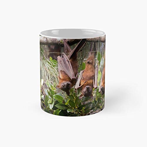Little Red Flying Foxes 3 | Best 11 Oz Ceramic Coffee Mug Gift