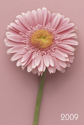 Lady-Timer "Gerbera" 2009 Lady-Timer "Gerbera" 2009