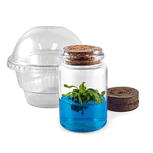 Venus Flytrap Kit, Live Venus Fly Trap Terrarium Included / DIY Beginner Friendly Starter Kit, Holiday Gift, Educational Growing Plant, Exotic Native Plant in The US, 100% Growth Guarantee