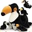 Black Toucans