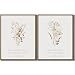 DAZZLING BEAUTY Neutral Watercolor Floral Wall Art Boho Botanical Flower Bible Verse Pictures Prints Vintage Wildflower Canvas Wall Decor Framed Artwork for Farmhouse Kitchen Decoration - 11"x14"x2Pcs