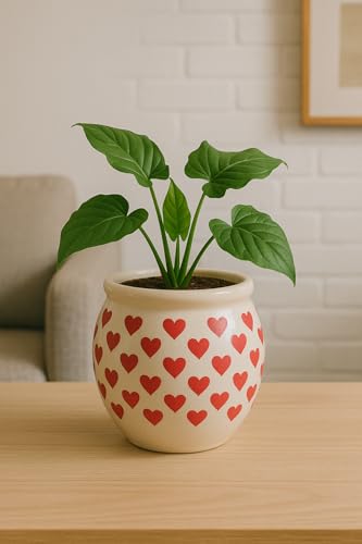 Image of Niyara Handcrafted Ceramic Flower Planter Pot | Decorative Indoor & Outdoor Pot | Multicolor Red Heart Print Design | Ideal for Home, Garden, Balcony, Office | Decor 6 Inch Heigh (Red Heart)