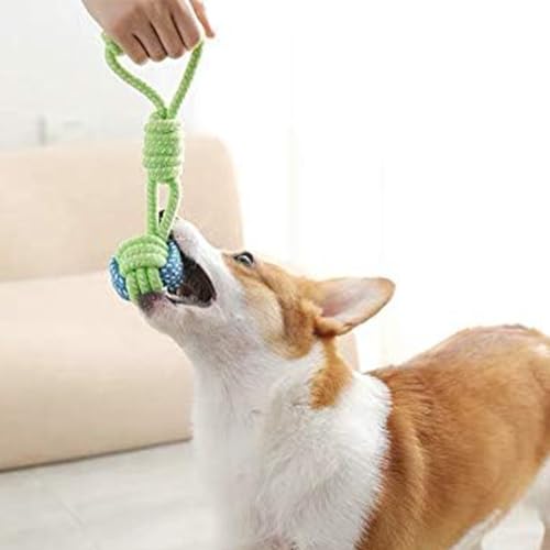 2 Stück Hundespielzeug Bälle, Hundebälle mit Schnur, interaktiv, bissfest und zahnschärfend ball mit schnur hund, für große und kleine Hunde ball mit schnur hund.