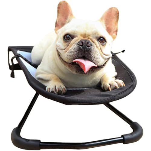 /LxbhybgnbNbLO`FA܂肽3x߉\􂦂 (ubN)