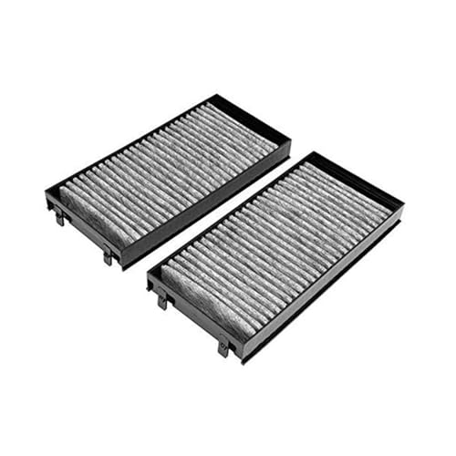 Filtro de habitáculo para BMW X5 E70 contra el polen molesto 4