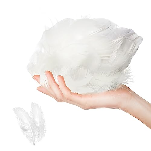 Jagowa 100 Pcs Feathers for Crafts Colorful Feathers Natural Goose Feathers for DIY Handmade Crafts Gift Box Filling Ornament Decoration (White)