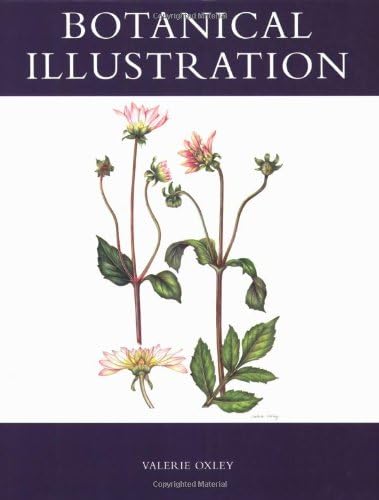 Botanical Illustration