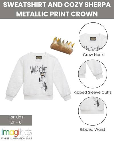 Warner Bros. Where the Wild Things Are Cozy Sherpa Sweatshirt and Felt Faux Fur Crown Toddler to Little Kid Sizes (2T - 6)3