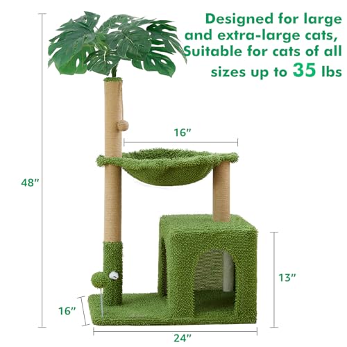 https://m.media-amazon.com/images/I/41qH83mMrlL.jpg