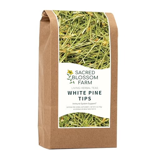 White Pine Needle Tea Wild-Harvested in Wisconsin | 6.0 oz | 85 Servings | Loose Leaf Herbal Tea | Pesticide Free | All Natural | Single Source | Pinus strobus
