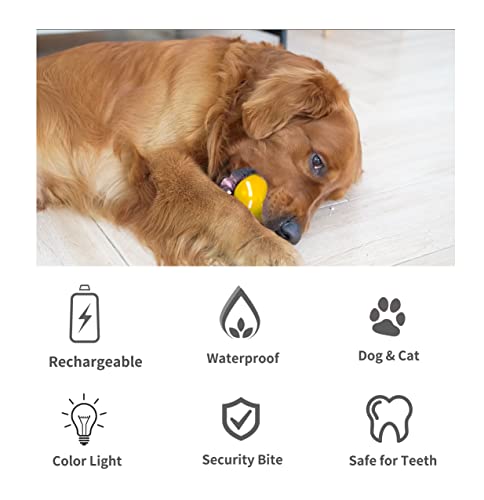 NETRCO Pet Ball for Dogs, Interactive Dog Toys Ball with Remote Control and LED Flash Light, Automatic Rolling Moving Bouncing Dog Ball for Small Medium Dog, Motion Activated & USB Rechargeable