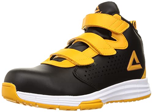 [s[N] SC/ƌC PRO BAS-4510 ׯ×۰ 24.5 ۽ư AFi