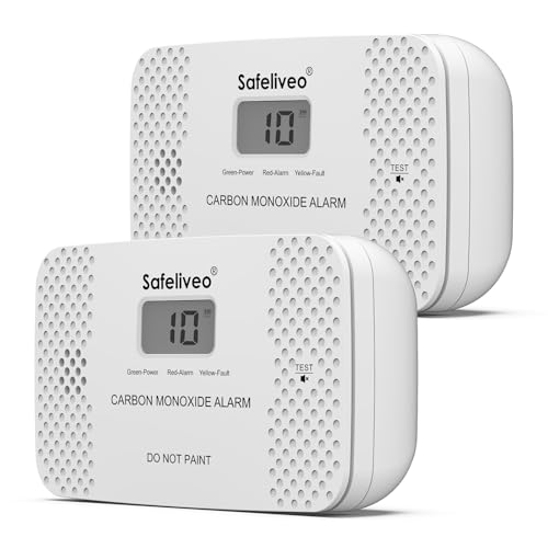 Detector de monóxido de Carbono con Pantalla Digital, Alarma de CO con batería reemplazable - Alarma portátil de monóxido de Carbono para hogar,Conforme a la Norma EN 50291 (2 Pieza)