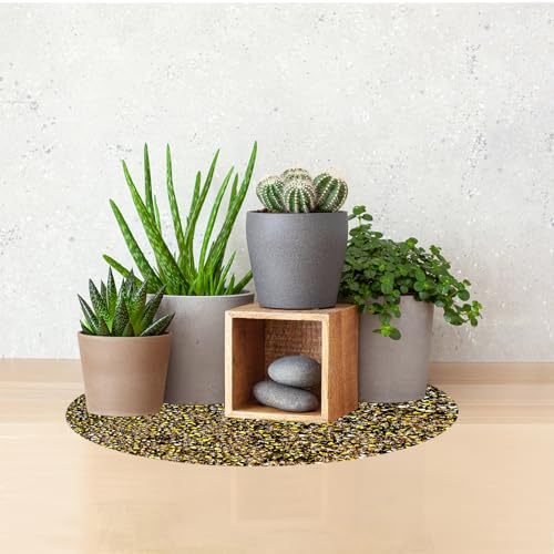 Set de table or résistant chaleur anti-tache grand format 40cm pour dîner - 4