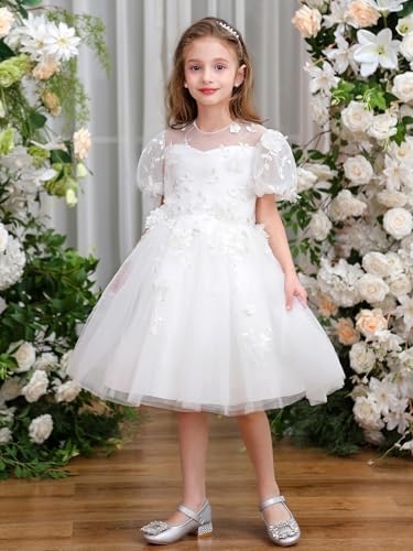 ABAO SISTER Puff Sleeves Embroidered Lace Flower Girl Dress Birthday Party Formal Party Pageant Tulle Tutu Ball Gown Dress3