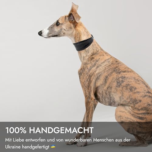 FAVPET Luxus Echtleder Windhund Halsband Breit mit QR Code Anhänger, Weiches Lederhalsband Hund Breit Whippet Italienisches Windspiel Saluki Lurcher Spanischer Galgo Greyhound Podenco (Schwarz, XS)