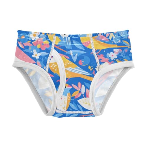 KLL Bird Paradise Boys Toddler Comfort Training Underwear Breathable Children Panties