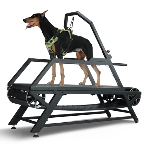 Generic Dog Treadmill