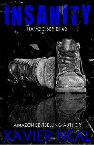Insanity (Havoc Book 3)