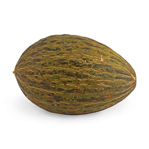 Piel De Sapo Santa Claus Melon