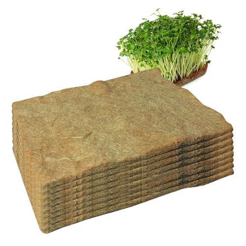 Esteras de germinación para cultivar brotes frescos y germen de trigo en la cocina urbana 2