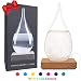 Eon Concepts Storm Glass Weather Predictor - Barometer Bottle with Stunning & Colorful LED Wood Base | Decorative Centerpiece for Home & Office | Perfect Birthday Friendship Novelty Unique Gift Idea