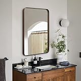 ANDY STAR Wall Mirror for Bathroom, 22" X 30" Bronze Bathroom Mirror with Stainless Steel Metal Fram
