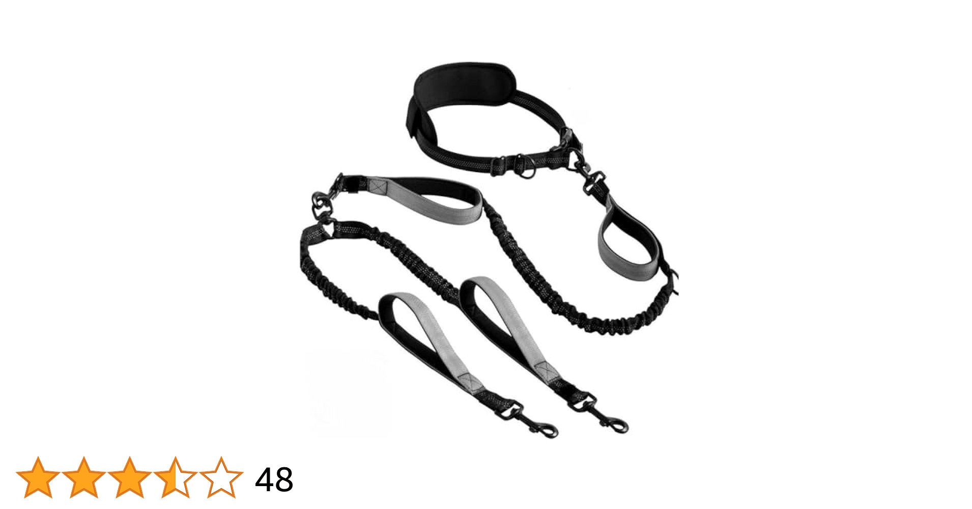 【チ】リード2本 41qHXOVmCoL.jpg_BO30,255,255,