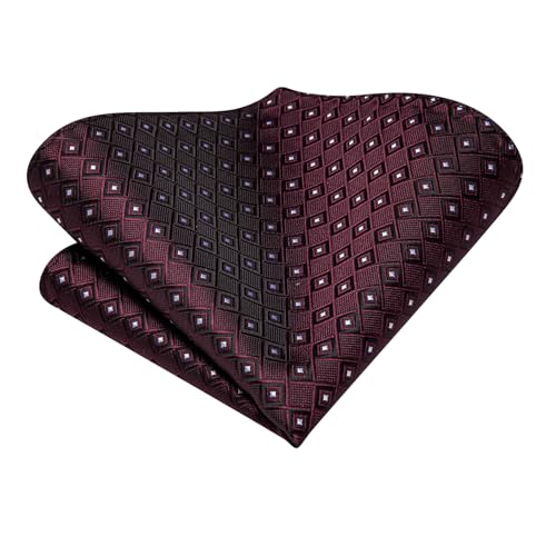 Image of Hi-Tie Silk Ascot for Men Self Tie Men's Cravat and Flower Lapel Pin Handkerchief Cufflinks Set for Wedding Party