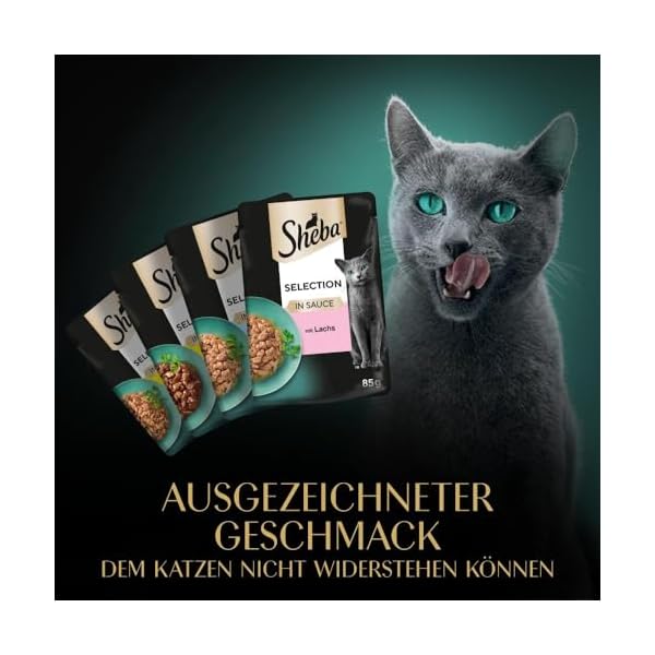 Sheba Katzennassfutter Selection in Sauce, 48 Portionsbeutel, 12x85g (4er Pack) – Katzenfutter nass, Herzhafte Komposition in Sauce für ausgewachsene Katzen – Bild 11