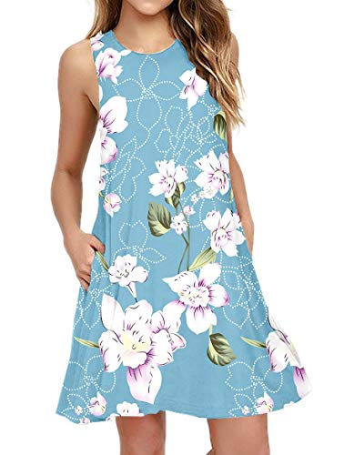 HAOMEILI Women's Casual Swing T-Shirt Dresses with Pockets M Floral Print Light Blue Sleeveless